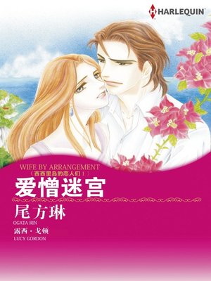 cover image of 爱憎迷宫